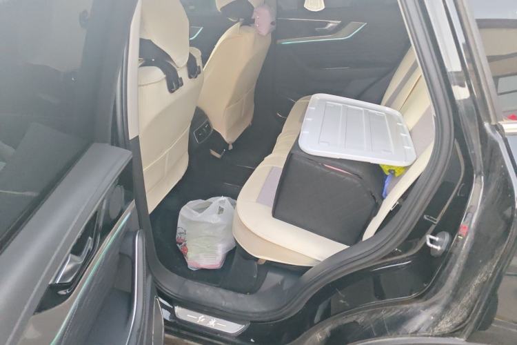 Used Hongqi HS5 2022 Facelifted Version 2.0T Smart Connect Flagship All-Wheel-Drive Edition Left Rear Seat