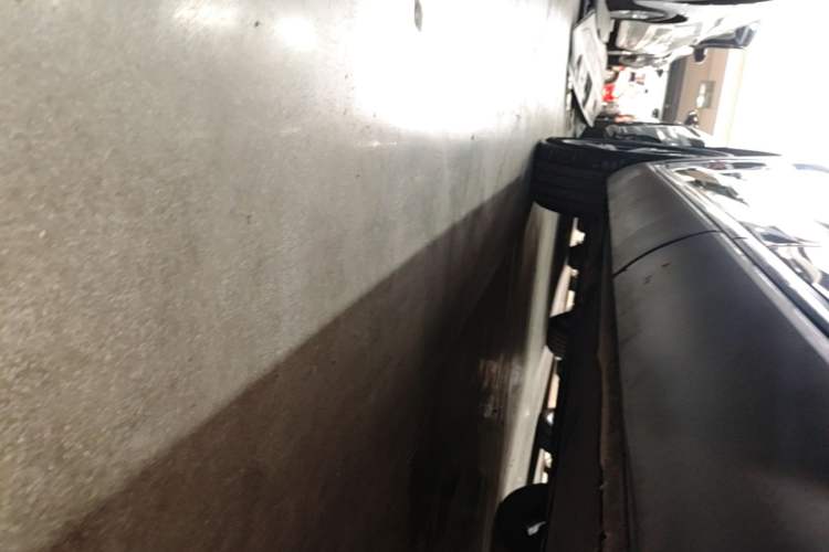 Used Hongqi HS5 2022 Revised Version 2.0T Smart Connect Flagship Edition Left Side Sill