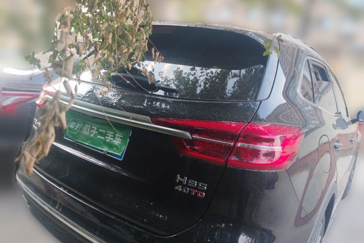 Used Hongqi HS5 2022 Facelifted Version 2.0T Smart Connect Flagship All-Wheel-Drive Edition Rear