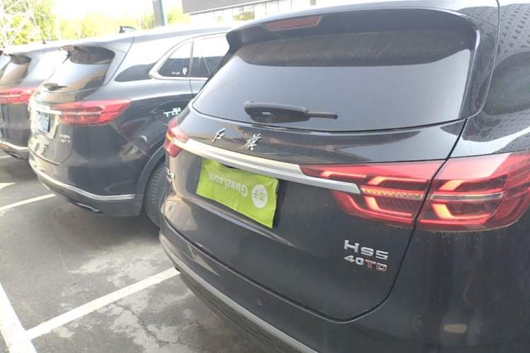 Used Hongqi HS5 2022 Facelifted Version 2.0T Smart Connect Flagship All-Wheel-Drive Edition Rear