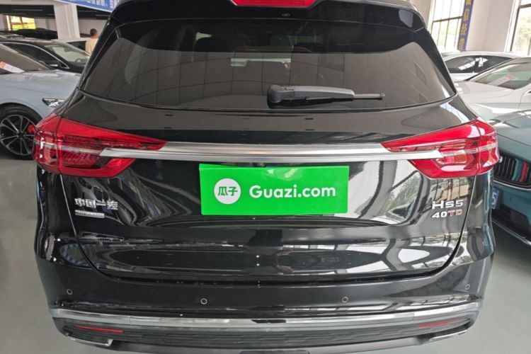 Used Hongqi HS5 2022 Facelifted Version 2.0T Smart Connect Flagship All-Wheel-Drive Edition Rear