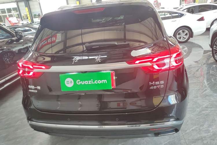 Used Hongqi HS5 2022 Facelifted Version 2.0T Smart Connect Flagship All-Wheel-Drive Edition Rear