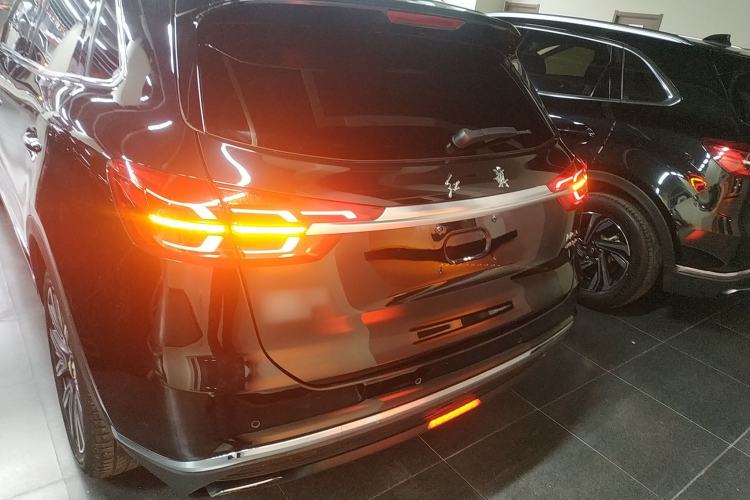Used Hongqi HS5 2022 2.0T Smart Connect Flagship All-Wheel-Drive Version Rear
