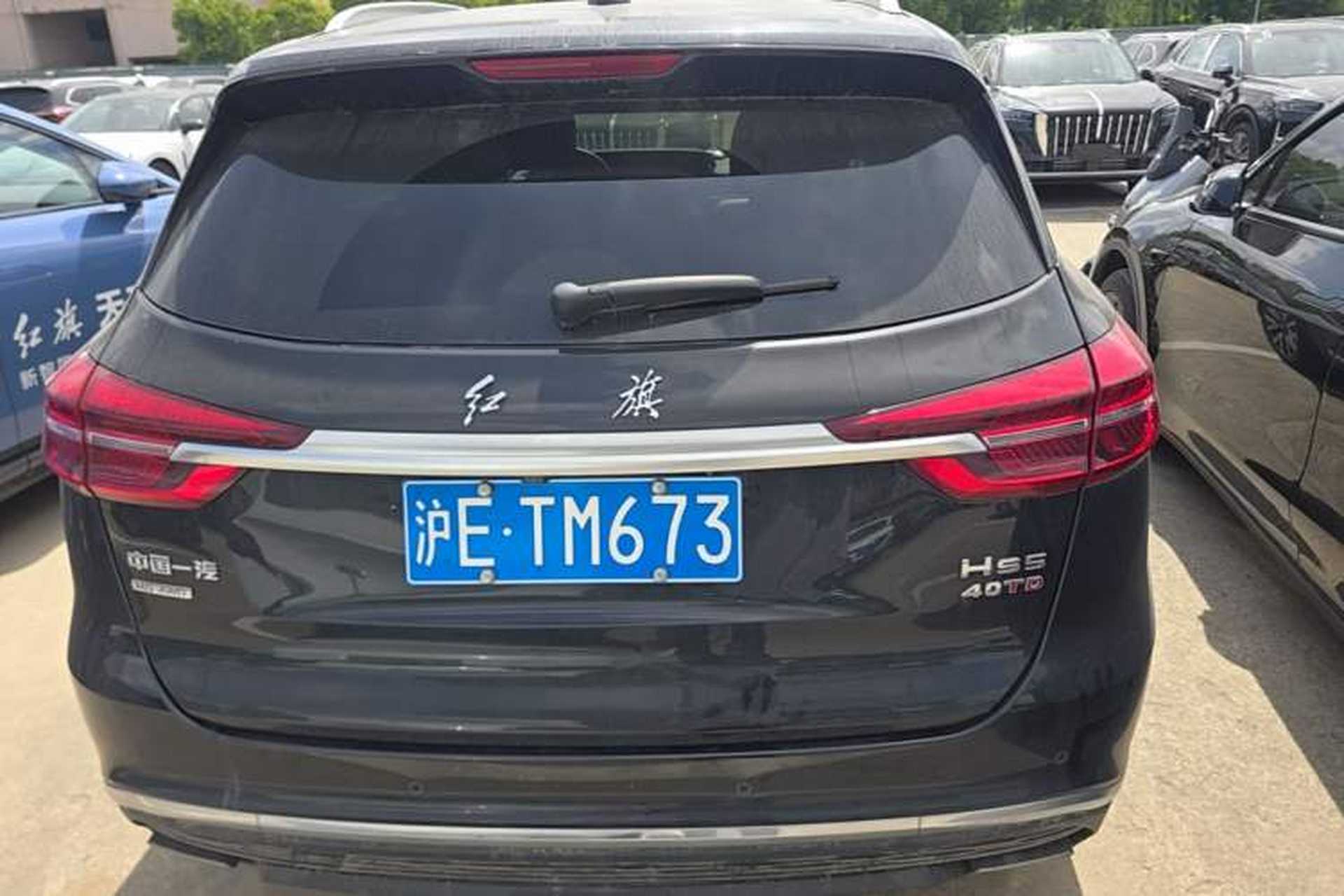 Used Hongqi HS5 2022 Facelifted Version 2.0T Smart Connect Flagship All-Wheel-Drive Edition Rear