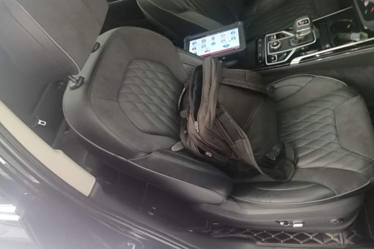 Used Hongqi HS5 2022 Revised Version 2.0T Smart Connect Flagship Edition Right Front Seat