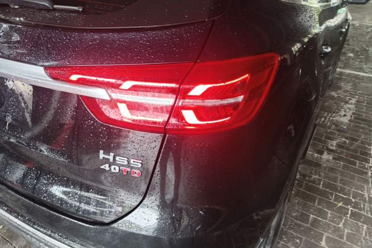 Used Hongqi HS5 2022 Revised Version 2.0T Smart Connect Flagship Edition Right Rear Taillight