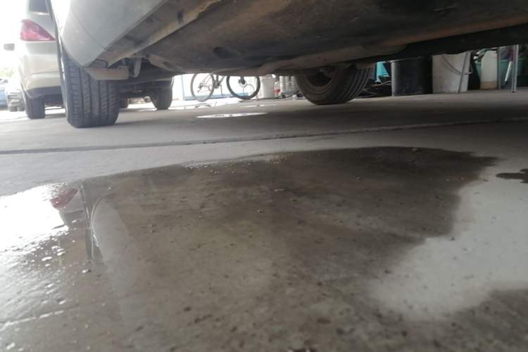 Used Hongqi HS5 2022 2.0T Smart Connect Flagship Edition Right Side Sill