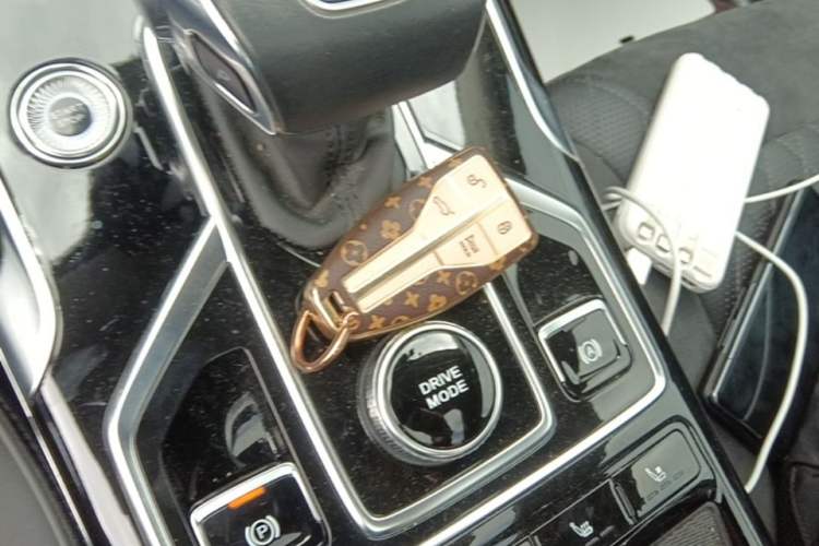 Used Hongqi HS5 2022 Revised Version 2.0T Smart Connect Flagship Edition Vehicle Key