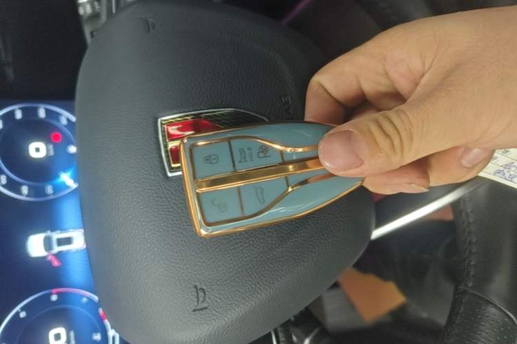 Used Hongqi HS5 2022 Revised Version 2.0T Smart Connect Flagship Edition Vehicle Key