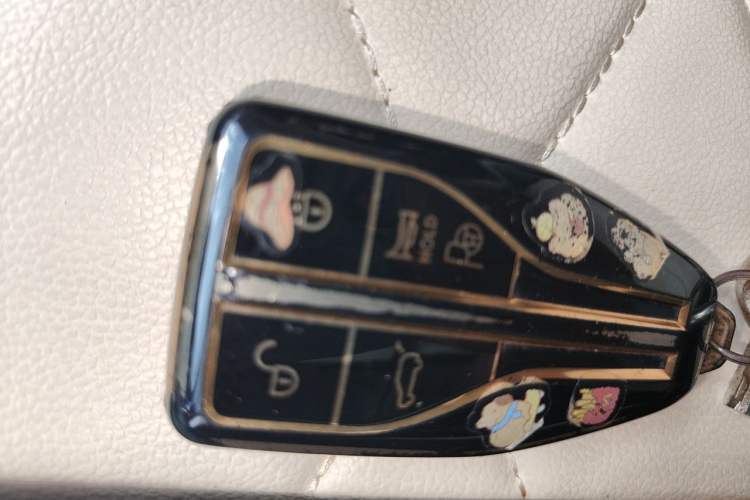 Used Hongqi HS5 2022 2.0T Smart Connect Flagship Edition Vehicle Key