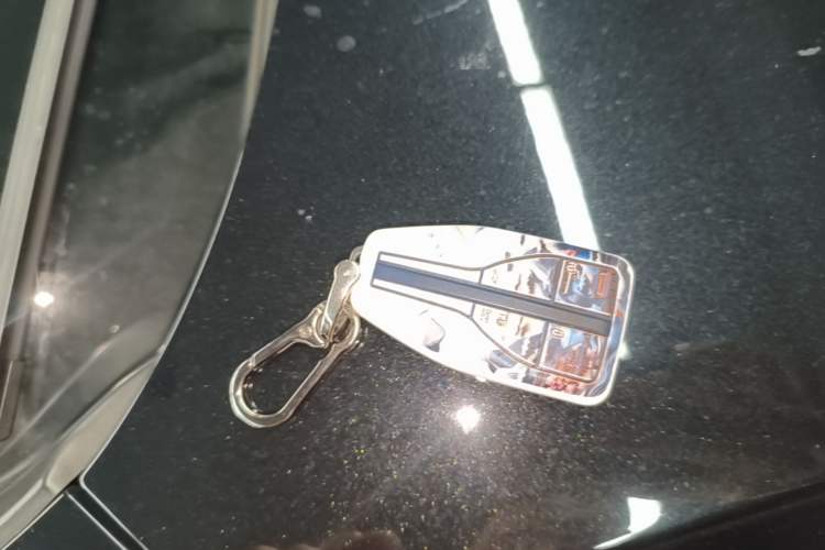Used Hongqi HS5 2022 2.0T Smart Connect Flagship Enjoyment Purchase Edition Vehicle Key