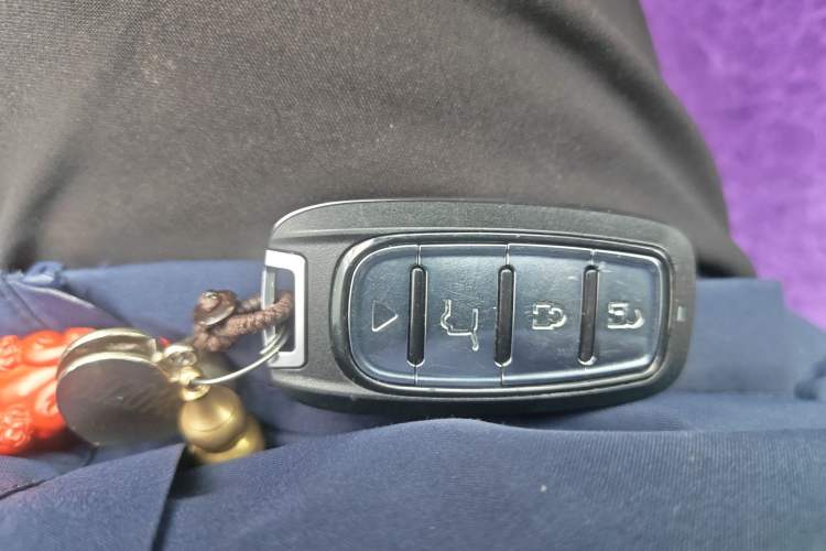 Used Hongqi HS5 2022 2.0T Smart Connect Flagship Enjoyment Purchase Edition Vehicle Key