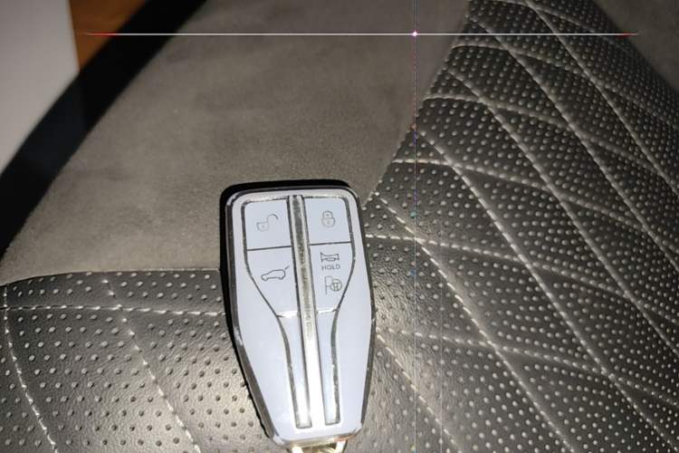 Used Hongqi HS5 2022 Revised Version 2.0T Smart Connect Flagship Edition Vehicle Key