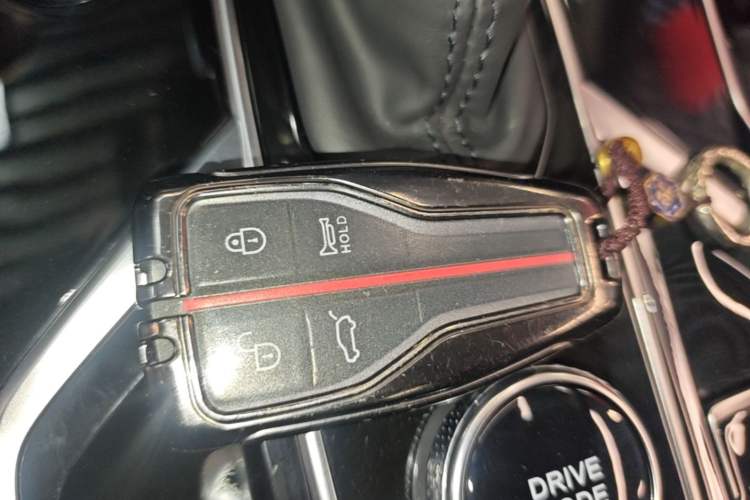Used Hongqi HS5 2022 Revised Version 2.0T Smart Connect Flagship Edition Vehicle Key