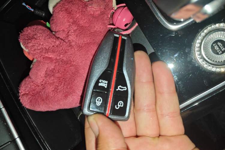 Used Hongqi HS5 2022 Revised Version 2.0T Smart Connect Flagship Edition Vehicle Key