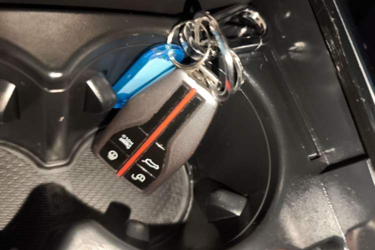 Used Hongqi HS5 2022 Revised Version 2.0T Smart Connect Flagship Edition Vehicle Key