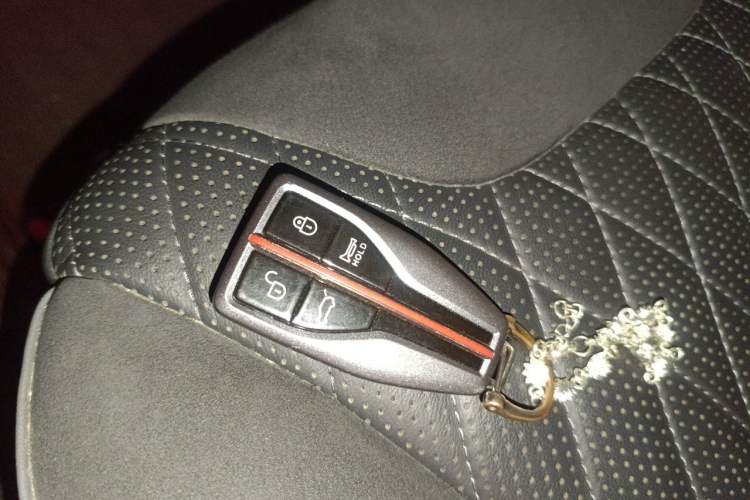 Used Hongqi HS5 2022 2.0T Smart Connect Flagship Edition Vehicle Key