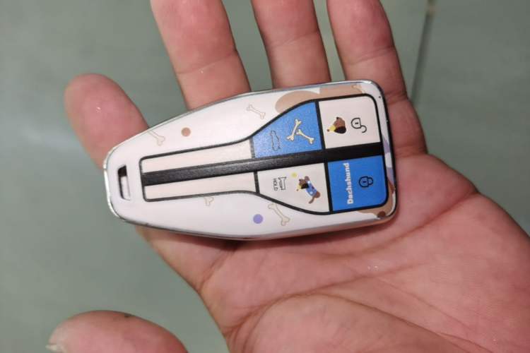 Used Hongqi HS5 2022 2.0T Smart Connect Flagship All-Wheel-Drive Version Vehicle Key