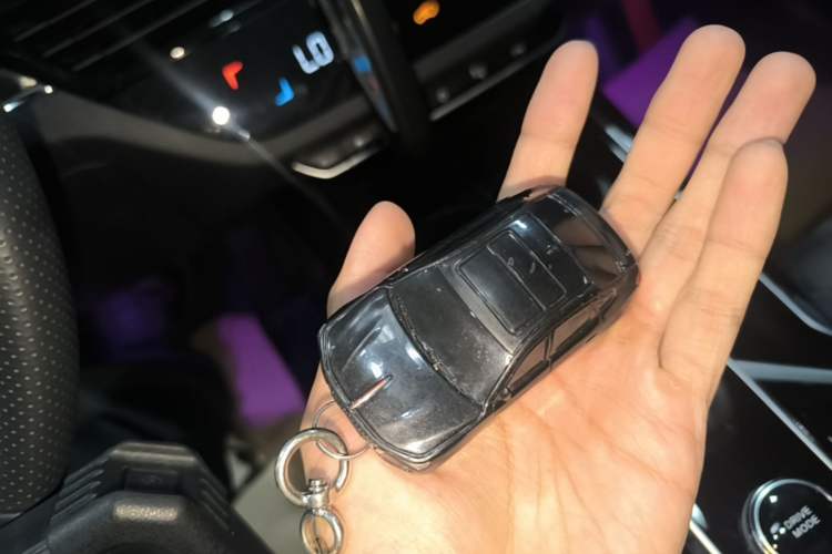 Used Hongqi HS5 2022 Facelifted Version 2.0T Smart Connect Flagship All-Wheel-Drive Edition Vehicle Key