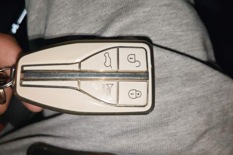 Used Hongqi HS5 2022 2.0T Smart Connect Flagship Edition Vehicle Key