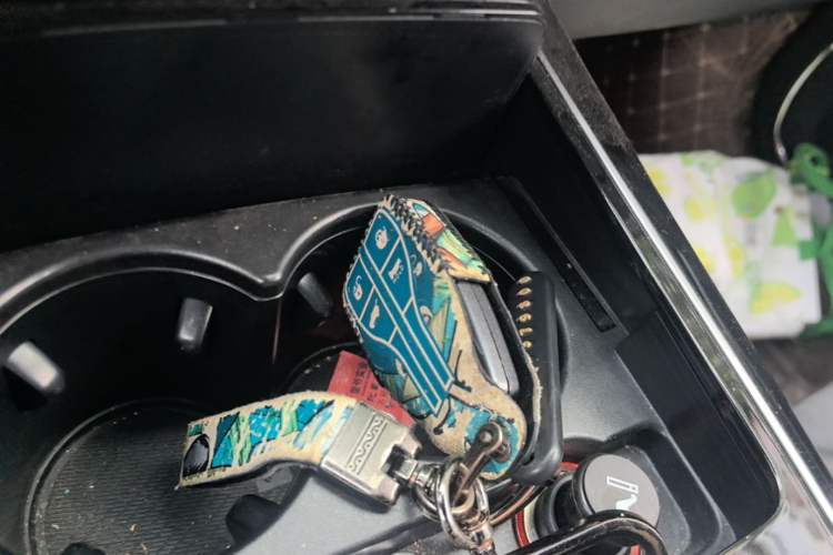 Used Hongqi HS5 2022 Revised Version 2.0T Smart Connect Flagship Edition Vehicle Key