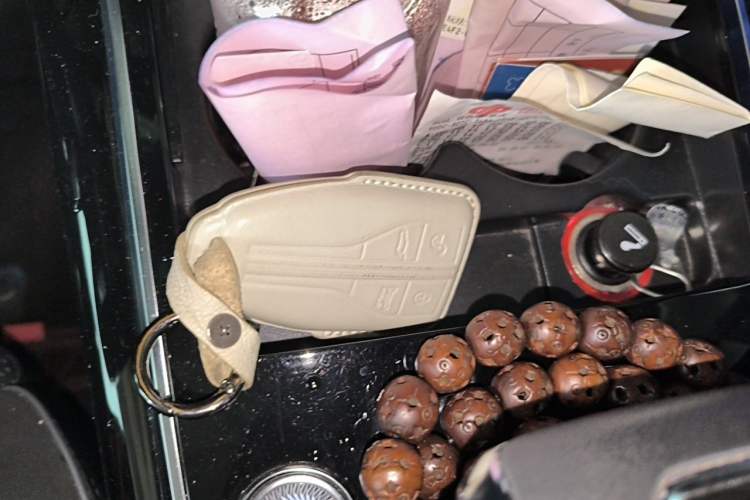 Used Hongqi HS5 2022 2.0T Smart Connect Flagship Edition Vehicle Key
