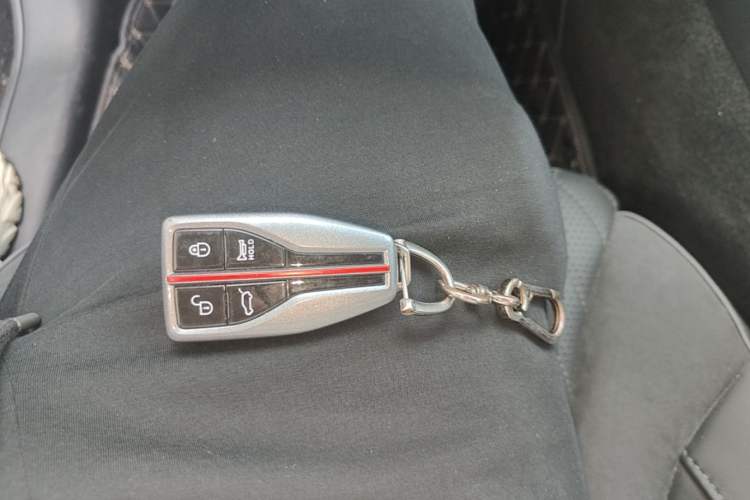 Used Hongqi HS5 2022 Revised Version 2.0T Smart Connect Flagship Edition Vehicle Key