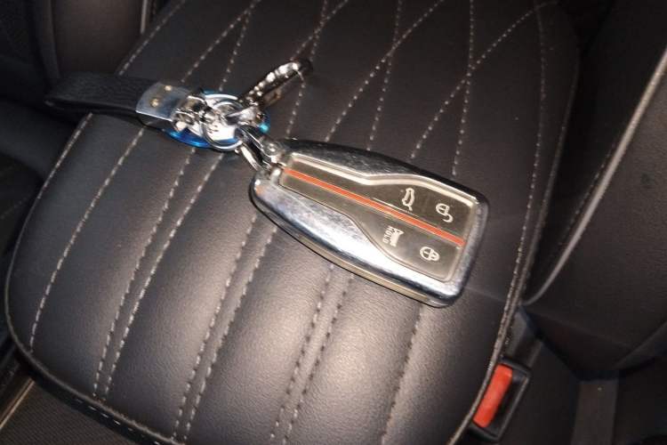 Used Hongqi HS5 2022 Facelifted Version 2.0T Smart Connect Flagship All-Wheel-Drive Edition Vehicle Key