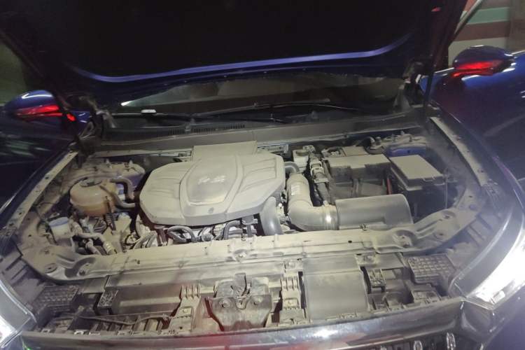 Used Hongqi HS5 2022 Facelifted Version 2.0T Smart Connect Flagship All-Wheel-Drive Edition Engine Bay