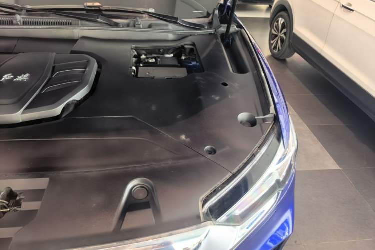 Used Hongqi HS5 2022 Facelifted Version 2.0T Smart Connect Flagship All-Wheel-Drive Edition Engine Bay Left