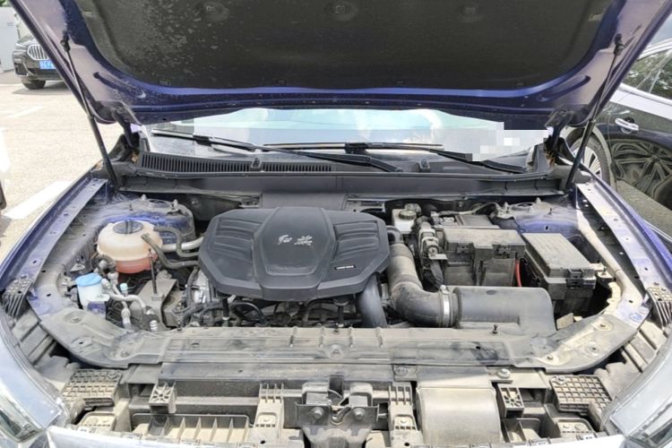 Used Hongqi HS5 2022 Facelifted Version 2.0T Smart Connect Flagship All-Wheel-Drive Edition Engine Bay