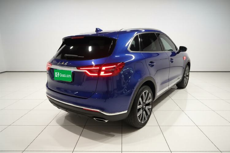 Used Hongqi HS5 2022 Facelifted Version 2.0T Smart Connect Flagship All-Wheel-Drive Edition Exterior 5
