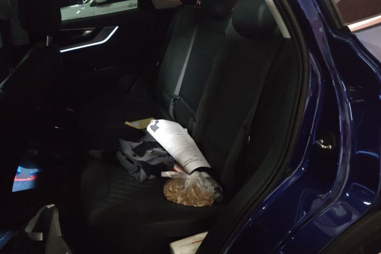 Used Hongqi HS5 2022 Facelifted Version 2.0T Smart Connect Flagship All-Wheel-Drive Edition Left Rear Seat