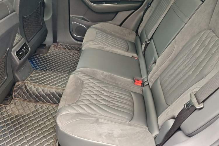 Used Hongqi HS5 2022 Facelifted Version 2.0T Smart Connect Flagship All-Wheel-Drive Edition Left Rear Seat