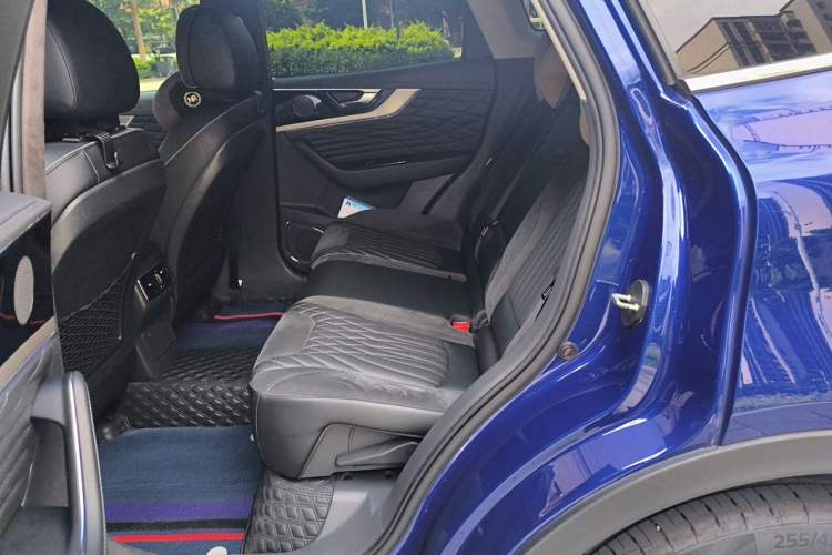 Used Hongqi HS5 2022 Facelifted Version 2.0T Smart Connect Flagship All-Wheel-Drive Edition Left Rear Seat