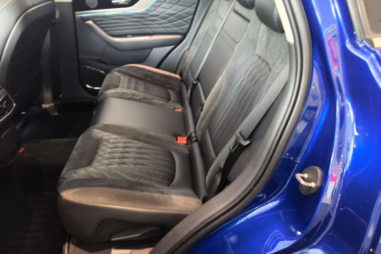 Used Hongqi HS5 2022 Facelifted Version 2.0T Smart Connect Flagship All-Wheel-Drive Edition Left Rear Seat