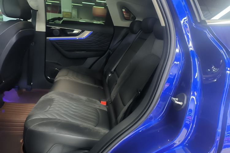 Used Hongqi HS5 2022 Facelifted Version 2.0T Smart Connect Flagship All-Wheel-Drive Edition Left Rear Seat