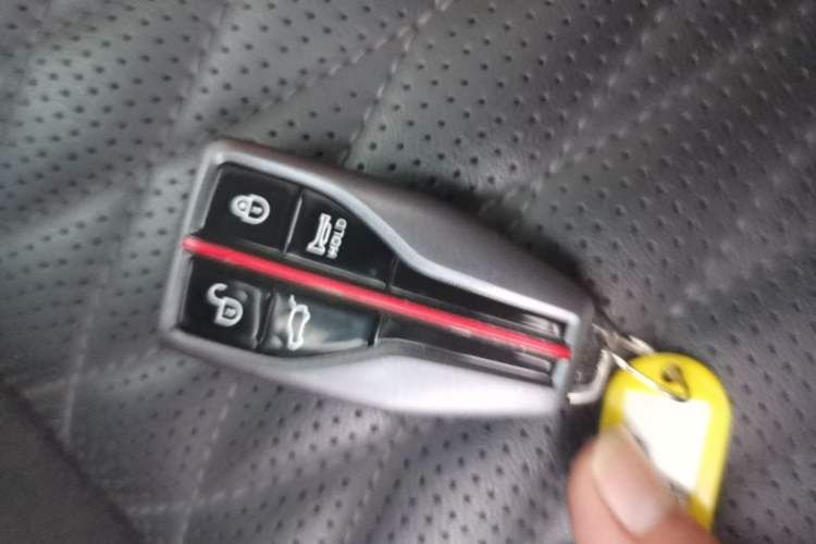 Used Hongqi HS5 2022 Revised Version 2.0T Smart Connect Flagship Edition Vehicle Key
