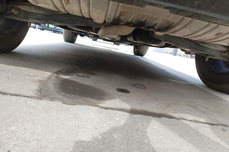 Used Hongqi HS5 2022 2.0T Smart Connect Flagship Edition Chassis Rear