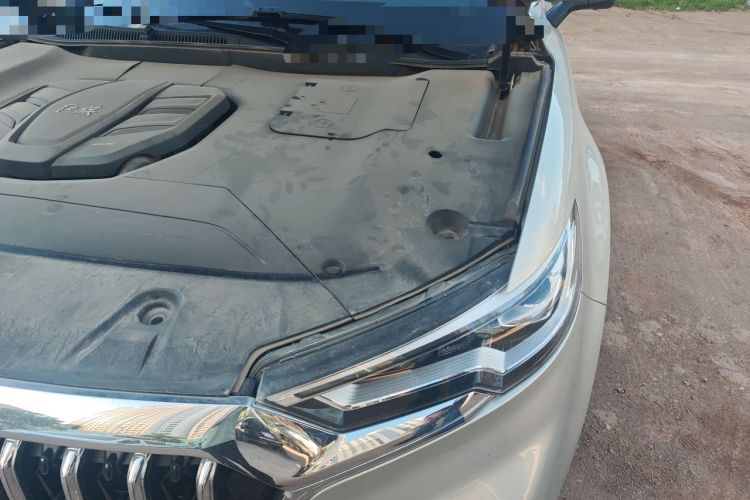 Used Hongqi HS5 2022 Facelifted Version 2.0T Smart Connect Flagship All-Wheel-Drive Edition Engine Bay Left