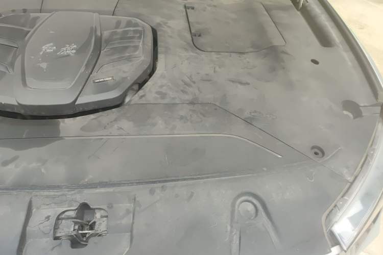 Used Hongqi HS5 2022 2.0T Smart Connect Flagship Enjoyment Purchase Edition Engine Bay Left