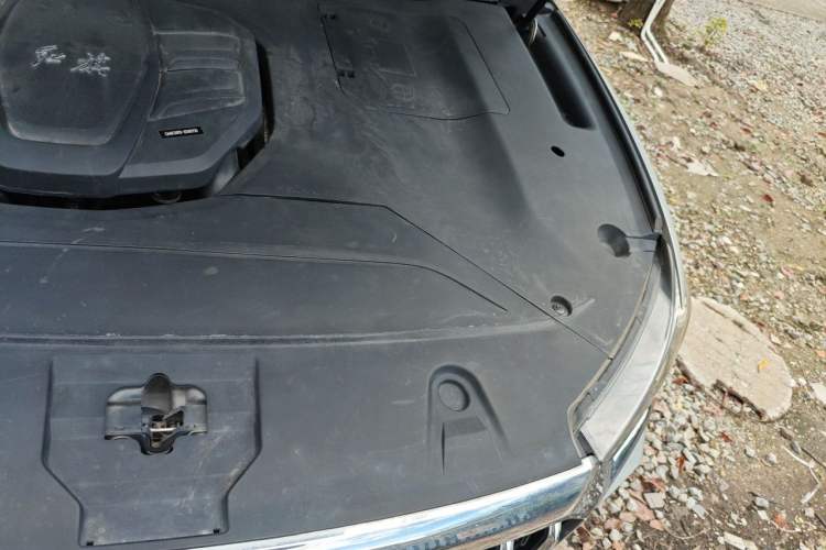 Used Hongqi HS5 2022 2.0T Smart Connect Flagship Enjoyment Purchase Edition Engine Bay Left