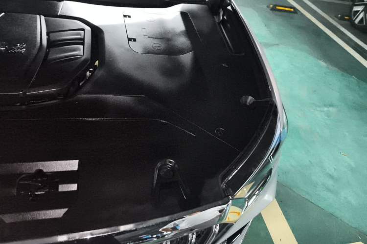 Used Hongqi HS5 2022 Revised Version 2.0T Smart Connect Flagship Edition Engine Bay Left