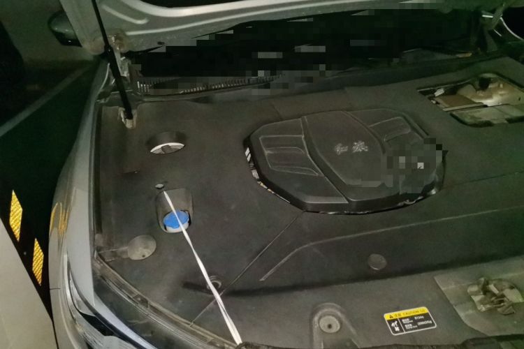 Used Hongqi HS5 2022 2.0T Smart Connect Flagship Edition Engine Bay Right