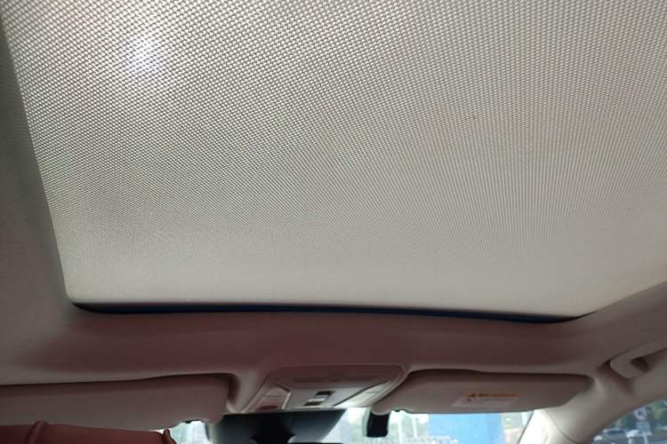 Used Hongqi HS5 2022 2.0T Smart Connect Flagship Edition Headliner