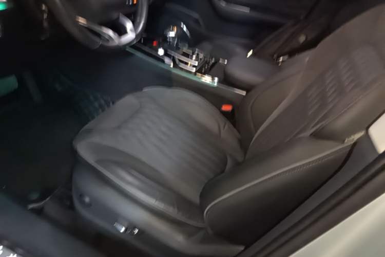 Used Hongqi HS5 2022 Facelifted Version 2.0T Smart Connect Flagship All-Wheel-Drive Edition Left Front Seat