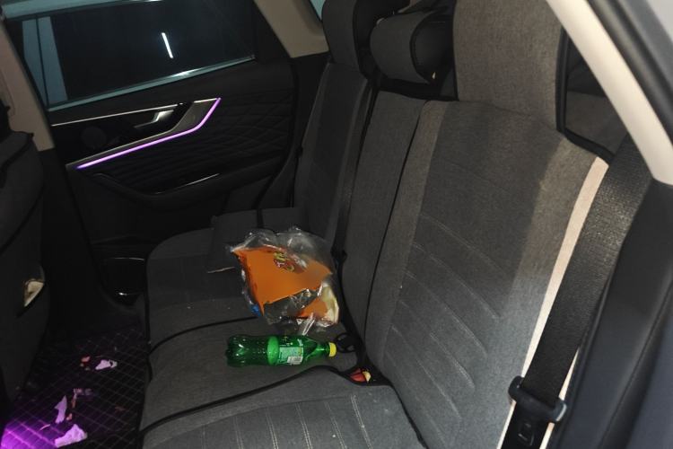 Used Hongqi HS5 2022 2.0T Smart Connect Flagship All-Wheel Drive LeGou Edition Left Rear Seat