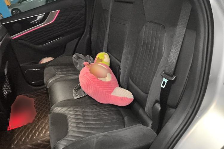 Used Hongqi HS5 2022 Revised Version 2.0T Smart Connect Flagship Edition Left Rear Seat