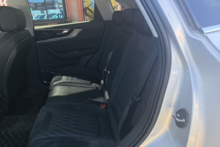 Used Hongqi HS5 2022 Facelifted Version 2.0T Smart Connect Flagship All-Wheel-Drive Edition Left Rear Seat