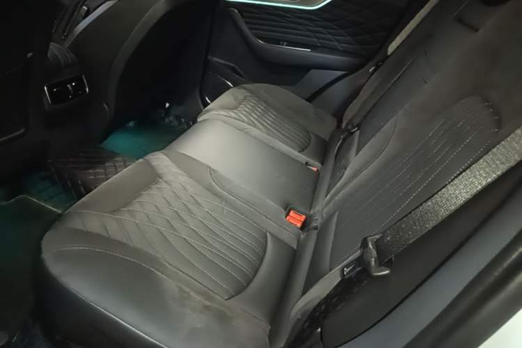 Used Hongqi HS5 2022 Facelifted Version 2.0T Smart Connect Flagship All-Wheel-Drive Edition Left Rear Seat